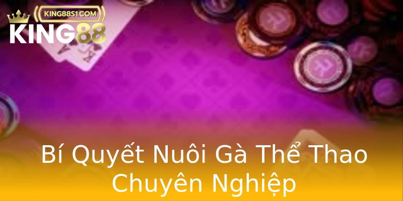 Bí Quyết Nuôi Gà Thể Thao Chuyên Nghiệp Bí Quyết Nuôi Gà Thể Thao Chuyên Nghiệp