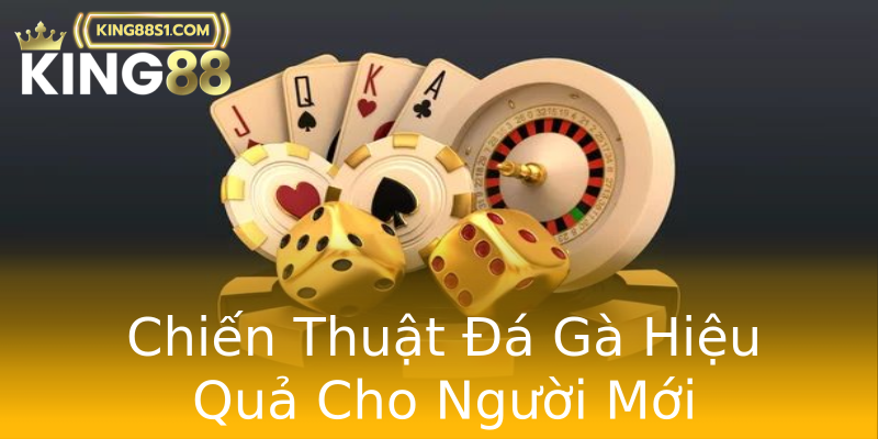 Chiến Thuật Đá Gà Hiệu Quả Cho Người Mới Chiến Thuật Đá Gà Hiệu Quả Cho Người Mới